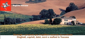 Regione Toscana